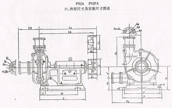 PNJ Rubber Lined Pump