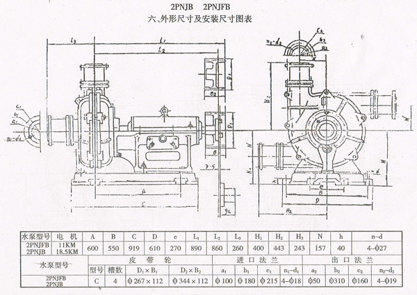 PNJ Rubber Lined Pump