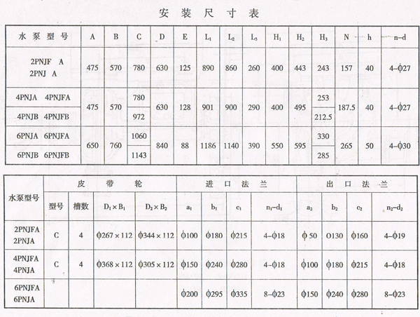 PNJ Rubber Lined Pump