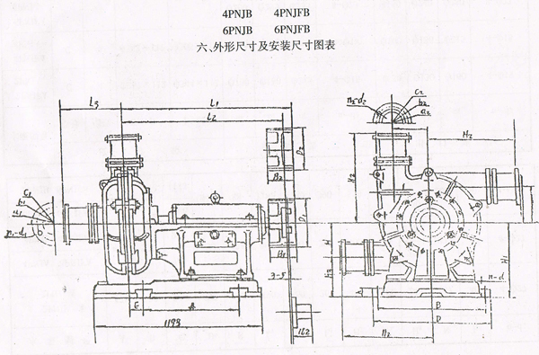 PNJ Rubber Lined Pump