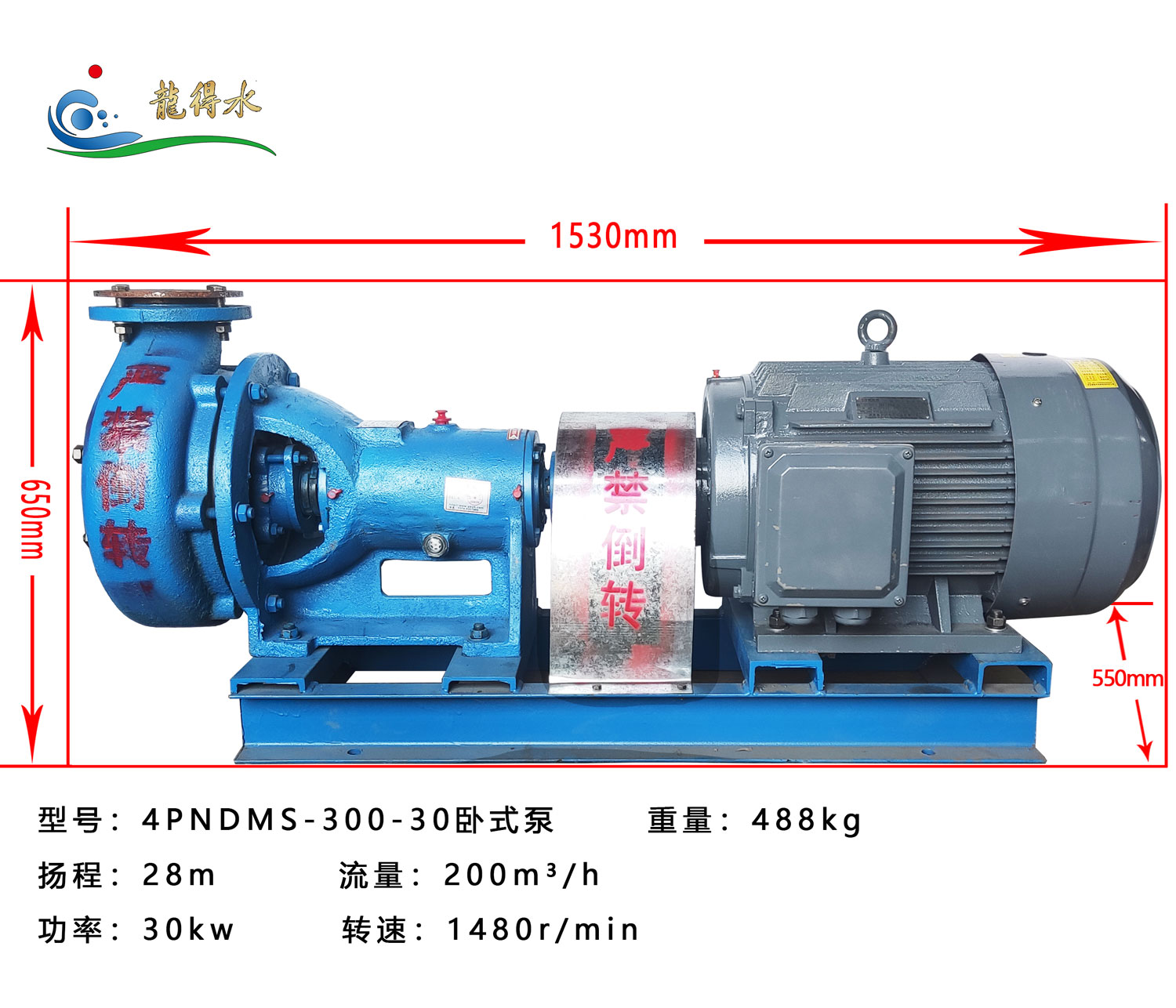4PNDMS-300-30 Horizontal Slurry Pump