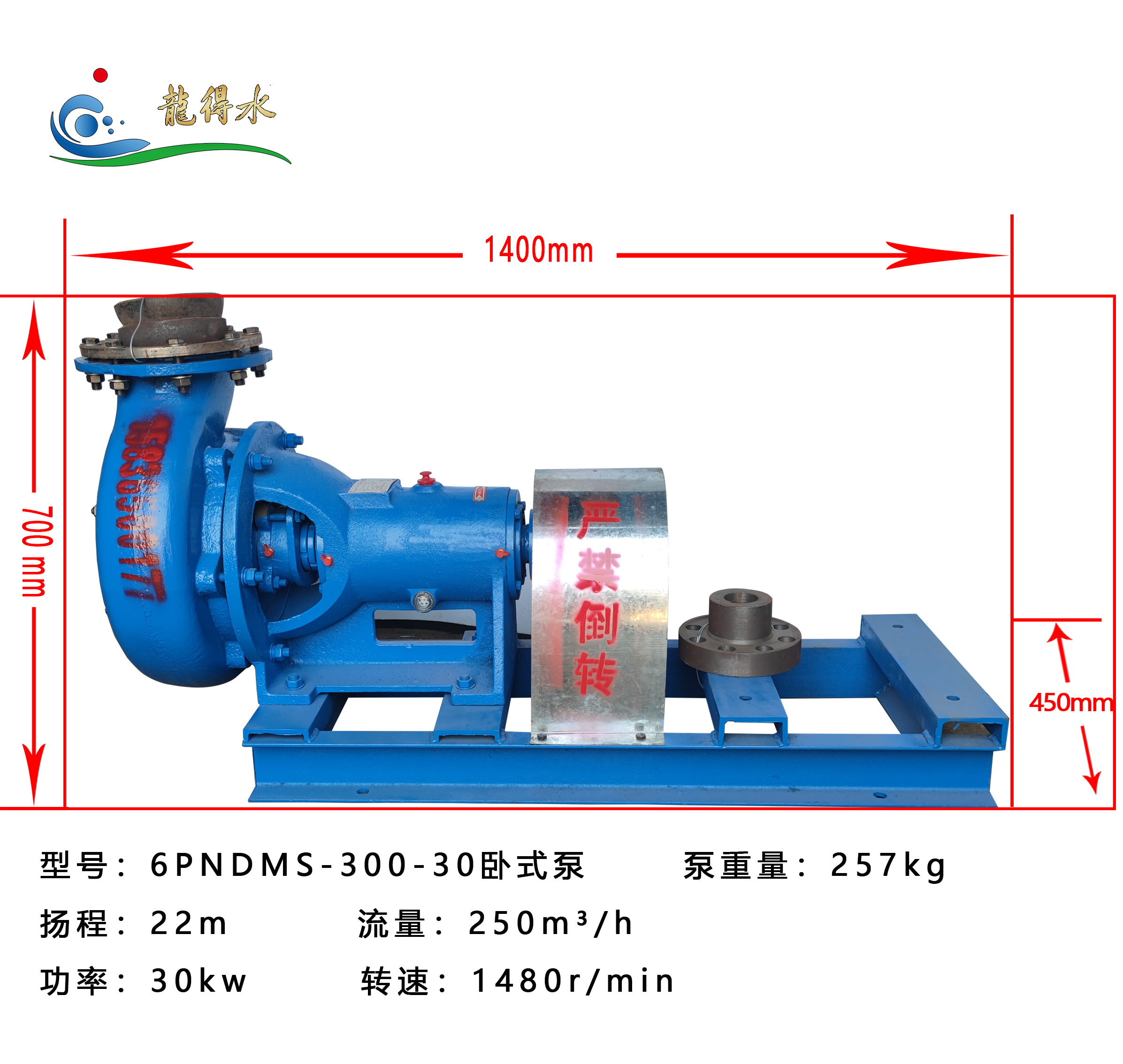 6PNDMS-300-30 Horizontal Slurry Pump