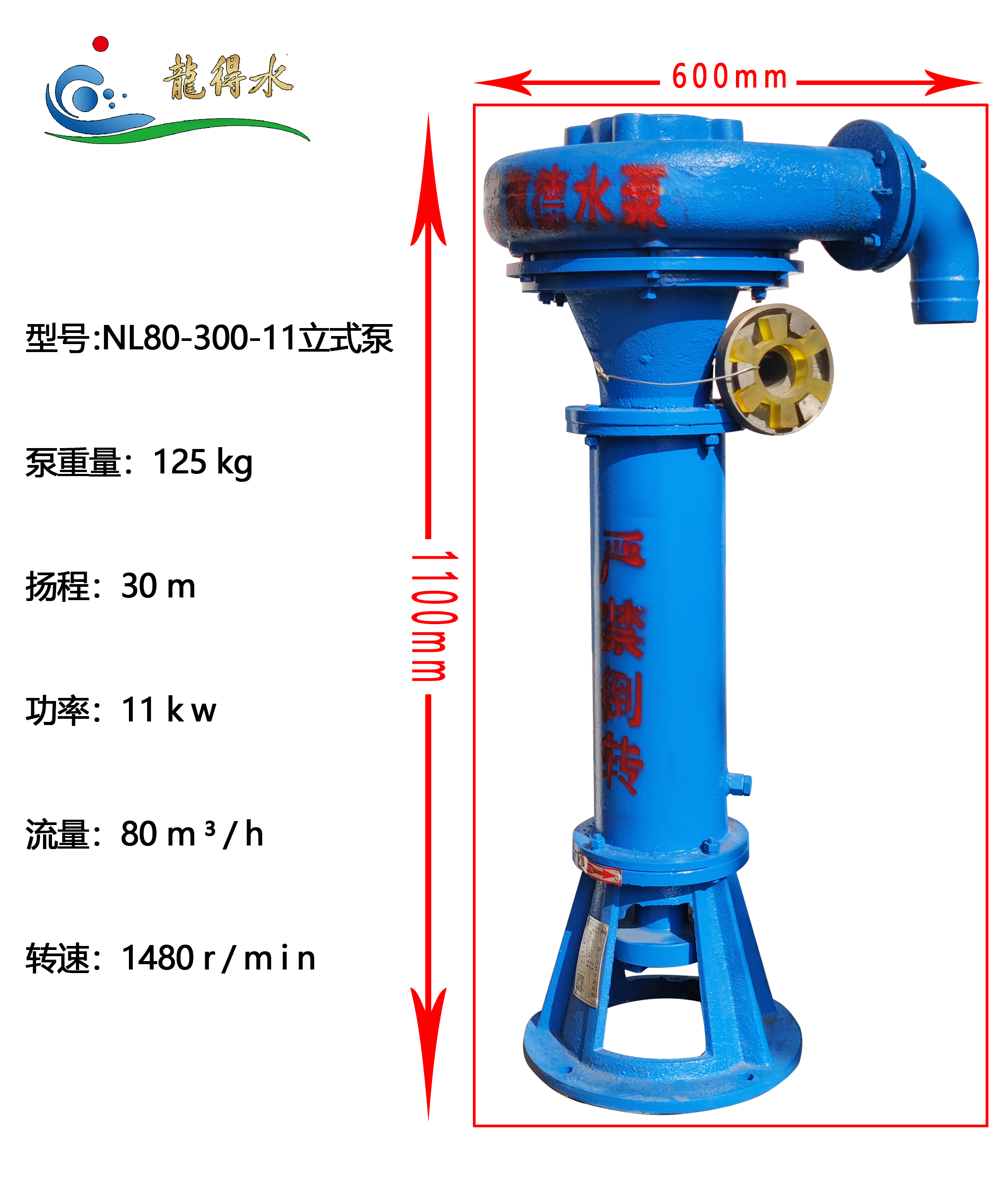 NL80-300-11 Vertical Slurry Pump